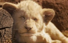 Desktop image. Animals. ID:52645