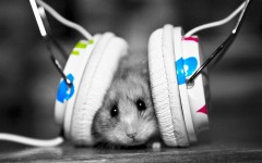 Desktop image. Animals. ID:35471