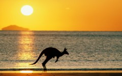 Desktop image. Animals. ID:36044