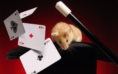 Desktop image. Animals. ID:36170