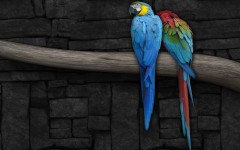 Desktop image. Animals. ID:36209