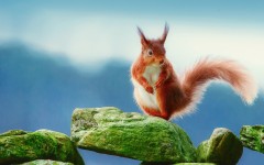 Desktop image. Animals. ID:65091