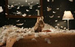 Desktop image. Animals. ID:65115