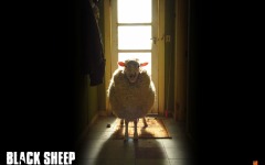 Desktop wallpaper. Black Sheep. ID:14002