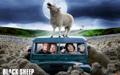 Desktop wallpaper. Black Sheep. ID:14003