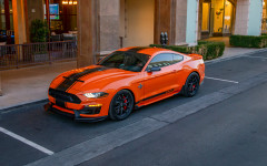 Desktop image. Ford Mustang Shelby Super Snake Bold Edition 2020. ID:127154