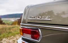 Desktop image. Mercedes-Benz 250 SE 1965. ID:134953