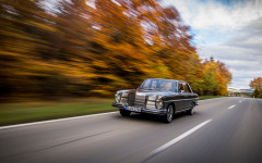 Desktop wallpaper. Mercedes-Benz 250 SE 1965. ID:134955