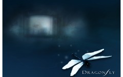 Desktop wallpaper. Dragonfly. ID:3851