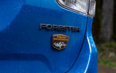 Desktop image. Subaru Forester Wilderness 2022. ID:142714