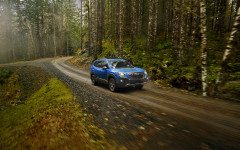 Desktop image. Subaru Forester Wilderness 2022. ID:142717