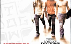 Desktop image. Lords of Dogtown. ID:14583